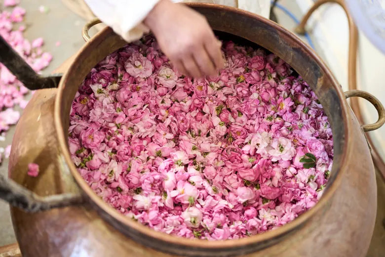 M'Gouna rose!
